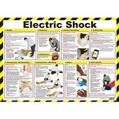 Electric Shock Rescue Pole