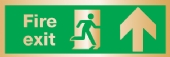 fire exit arrow up (Brushed Aluminium)