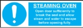 steaming oven steaming oven