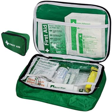 HSE Vehicle First Aid Kit in Nylon Case